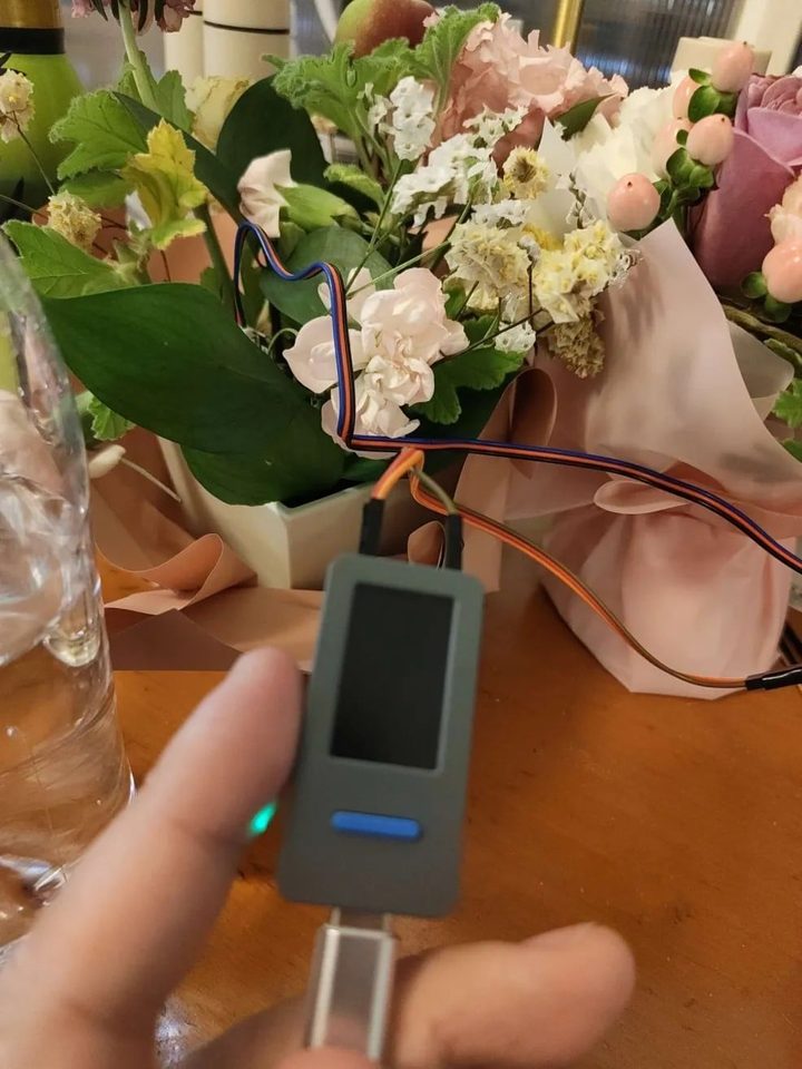 AI搭載の喋るマリーゴールドに触れてみよう。